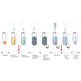 BioMagPure 12 Plus Nucleic Acid Extraction System